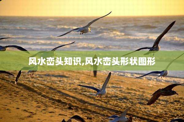 风水峦头知识,风水峦头形状图形
