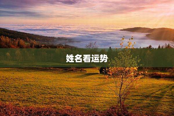 姓名看运势