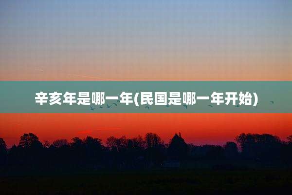 辛亥年是哪一年(民国是哪一年开始)