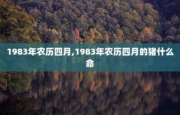 1983年农历四月,1983年农历四月的猪什么命