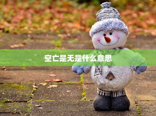 空亡是无是什么意思