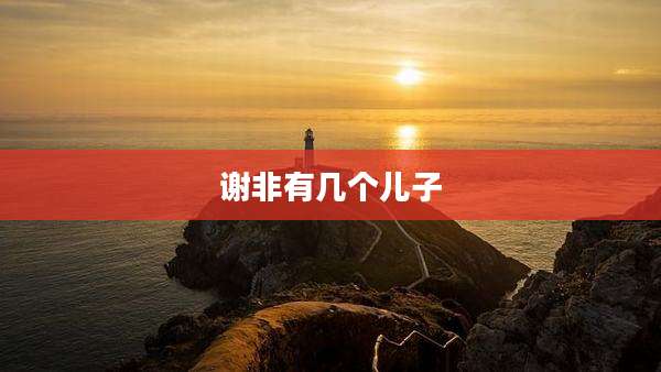谢非有几个儿子