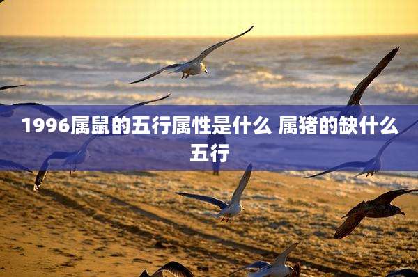 1996属鼠的五行属性是什么 属猪的缺什么五行