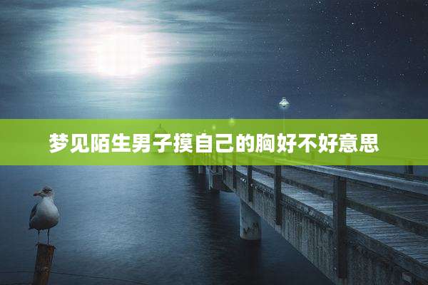 梦见陌生男子摸自己的胸好不好意思