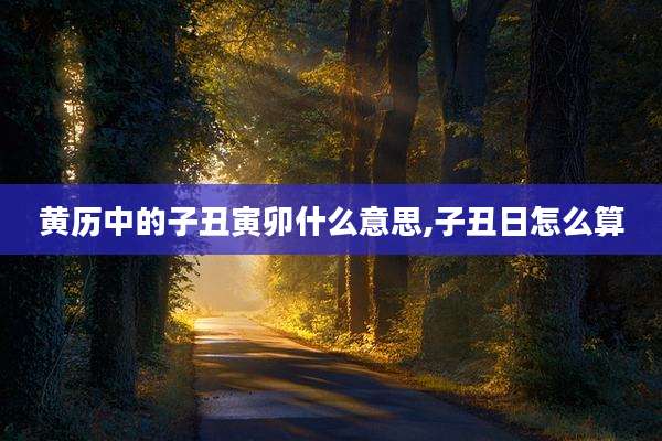 黄历中的子丑寅卯什么意思,子丑日怎么算