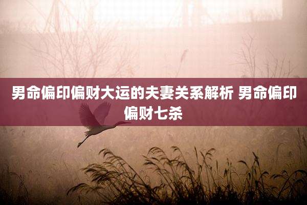 男命偏印偏财大运的夫妻关系解析 男命偏印偏财七杀