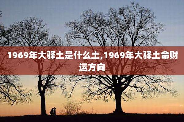1969年大驿土是什么土,1969年大驿土命财运方向