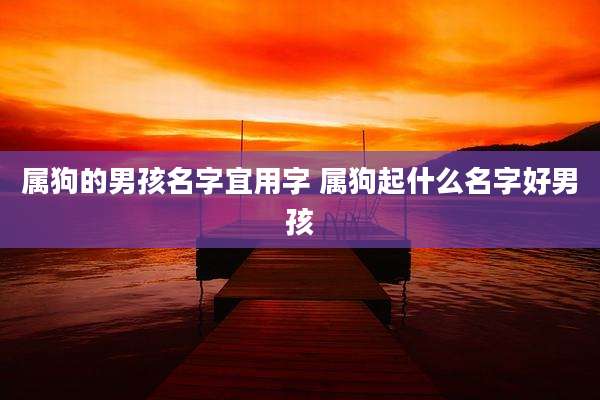 属狗的男孩名字宜用字 属狗起什么名字好男孩