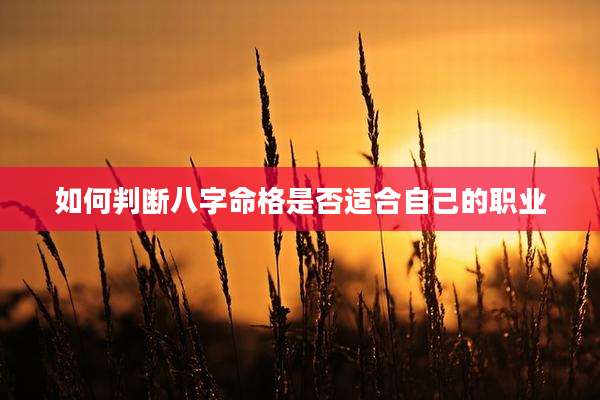 如何判断八字命格是否适合自己的职业