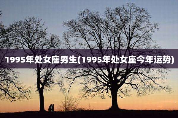 1995年处女座男生(1995年处女座今年运势)