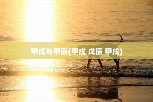 甲戌与甲辰(甲戌 戊辰 甲戌)