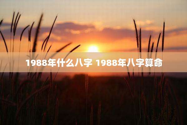 1988年什么八字 1988年八字算命