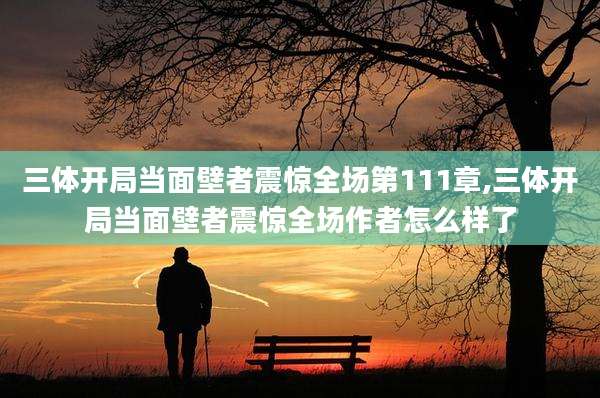 三体开局当面壁者震惊全场第111章,三体开局当面壁者震惊全场作者怎么样了