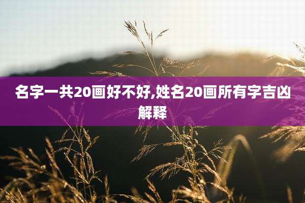名字一共20画好不好,姓名20画所有字吉凶解释