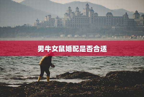 男牛女鼠婚配是否合适