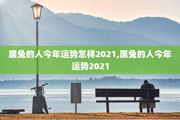 属兔的人今年运势怎样2021,属兔的人今年运势2021