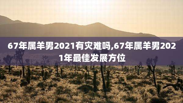 67年属羊男2021有灾难吗,67年属羊男2021年最佳发展方位