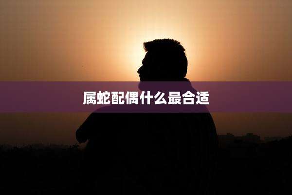 属蛇配偶什么最合适