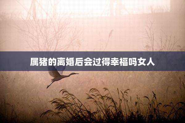 属猪的离婚后会过得幸福吗女人