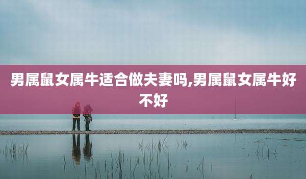 男属鼠女属牛适合做夫妻吗,男属鼠女属牛好不好