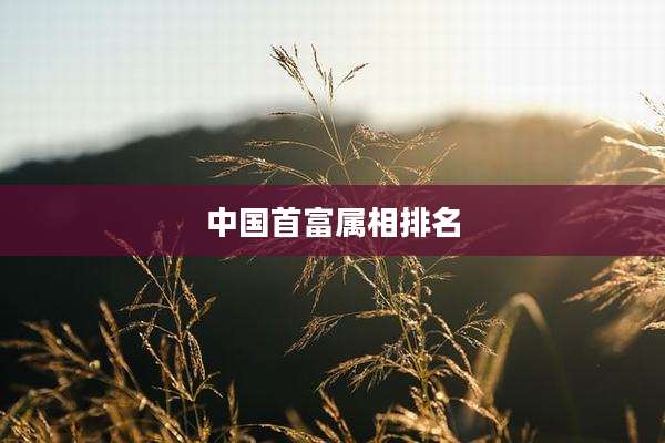 中国首富属相排名