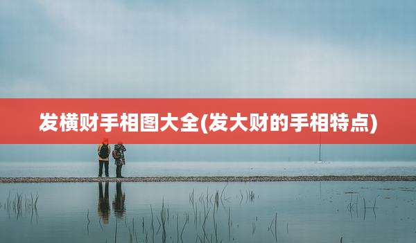 发横财手相图大全(发大财的手相特点)