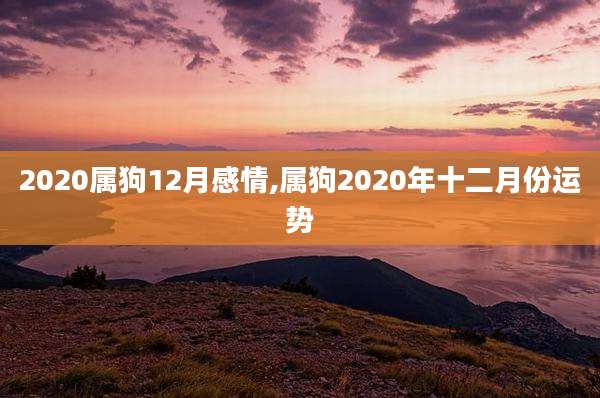 2020属狗12月感情,属狗2020年十二月份运势