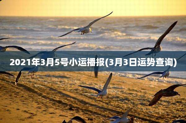 2021年3月5号小运播报(3月3日运势查询)