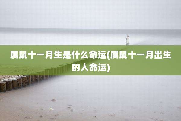 属鼠十一月生是什么命运(属鼠十一月出生的人命运)