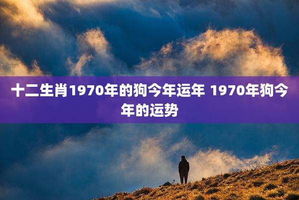 十二生肖1970年的狗今年运年 1970年狗今年的运势