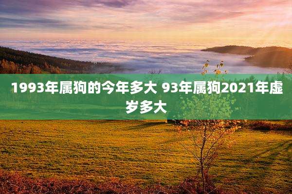 1993年属狗的今年多大 93年属狗2021年虚岁多大