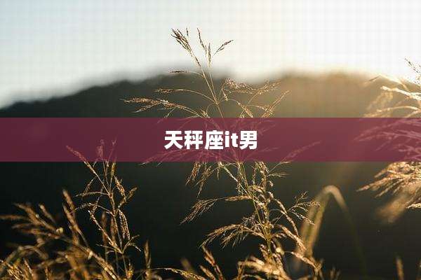 天秤座it男