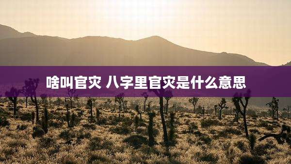 啥叫官灾 八字里官灾是什么意思