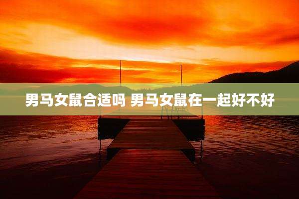 男马女鼠合适吗 男马女鼠在一起好不好