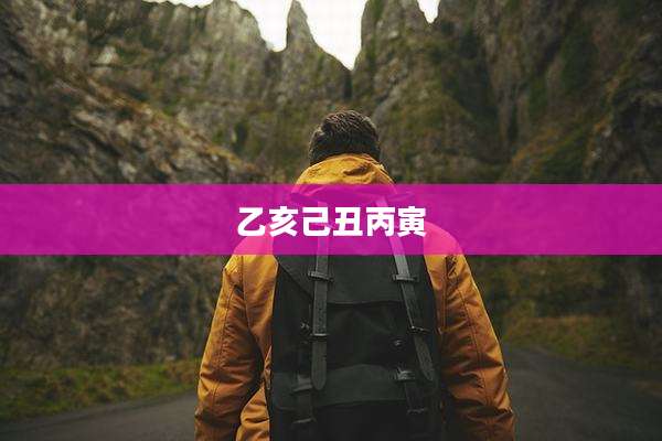 乙亥己丑丙寅