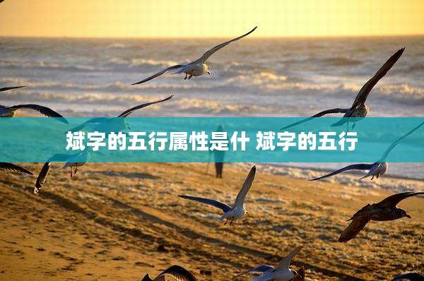 斌字的五行属性是什 斌字的五行