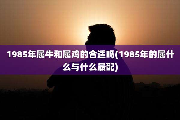 1985年属牛和属鸡的合适吗(1985年的属什么与什么最配)
