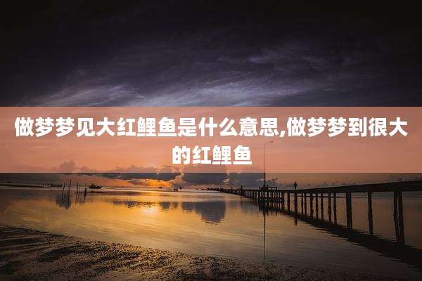 做梦梦见大红鲤鱼是什么意思,做梦梦到很大的红鲤鱼
