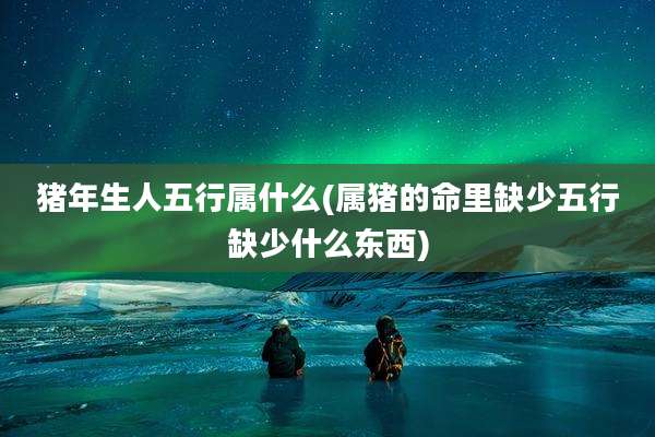 猪年生人五行属什么(属猪的命里缺少五行缺少什么东西)