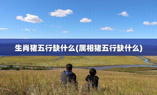 生肖猪五行缺什么(属相猪五行缺什么)