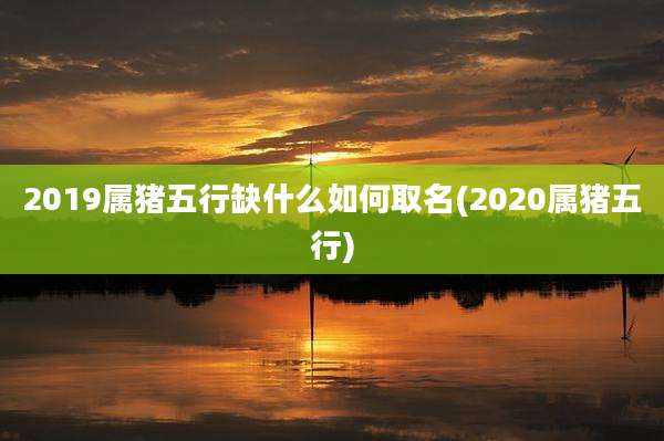 2019属猪五行缺什么如何取名(2020属猪五行)