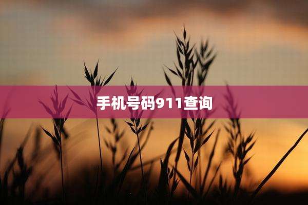 手机号码911查询