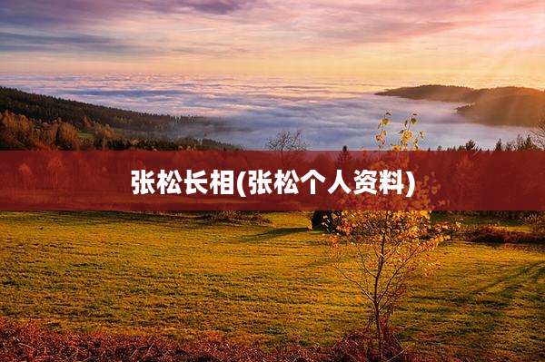 张松长相(张松个人资料)
