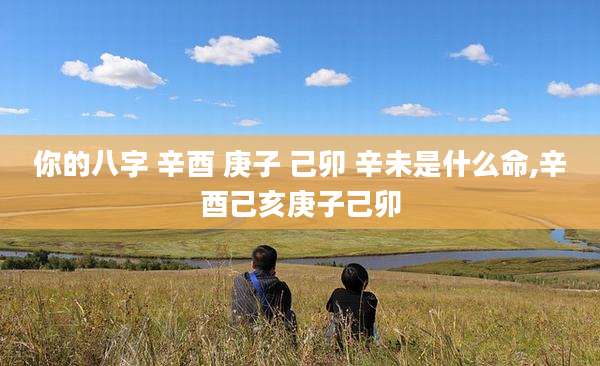你的八字 辛酉 庚子 己卯 辛未是什么命,辛酉己亥庚子己卯