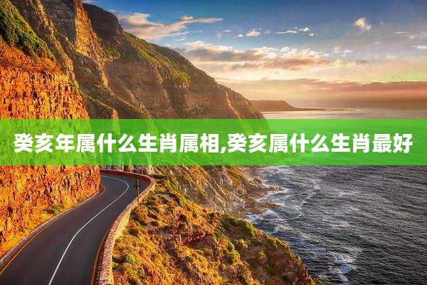 癸亥年属什么生肖属相,癸亥属什么生肖最好