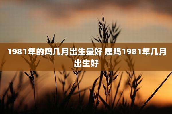 1981年的鸡几月出生最好 属鸡1981年几月出生好
