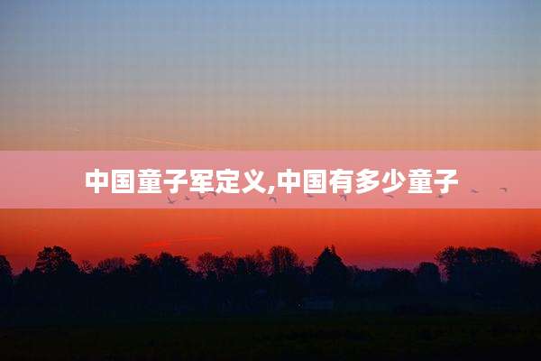 中国童子军定义,中国有多少童子
