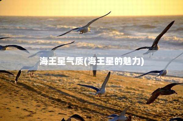 海王星气质(海王星的魅力)