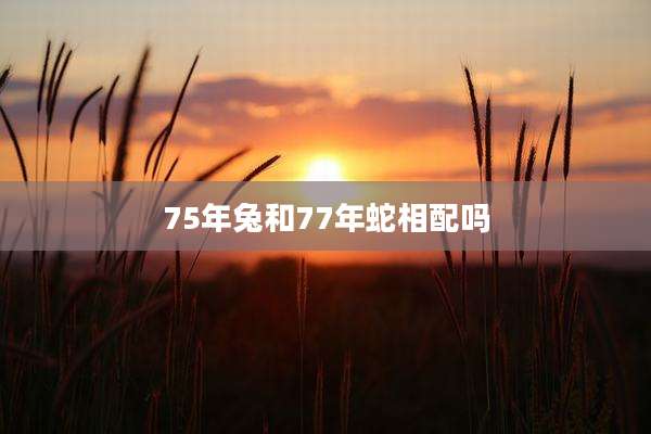 75年兔和77年蛇相配吗