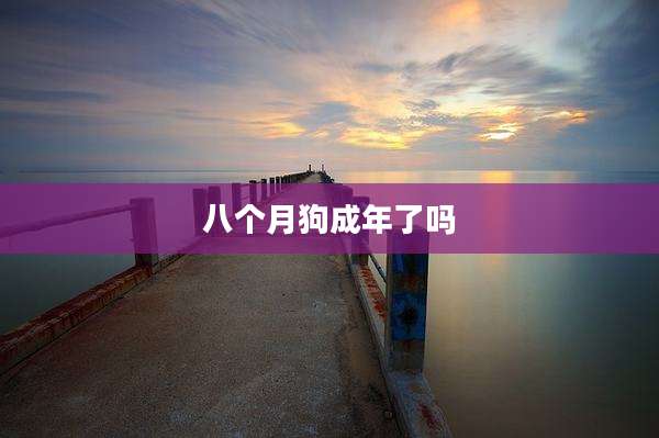 八个月狗成年了吗